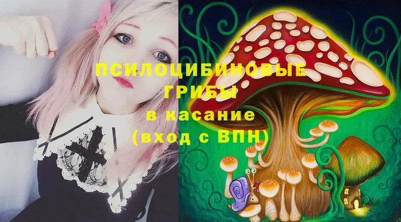 Псилоцибиновые грибы MAGIC MUSHROOMS  Владивосток 